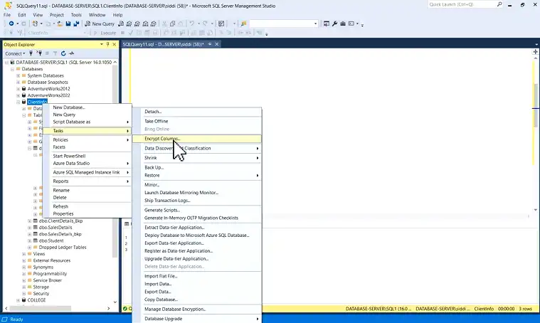 Encrypt Sensitive Data at the Column Level