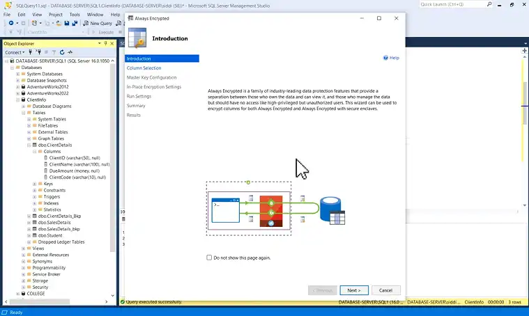 Encrypt Sensitive Data at the Column Level